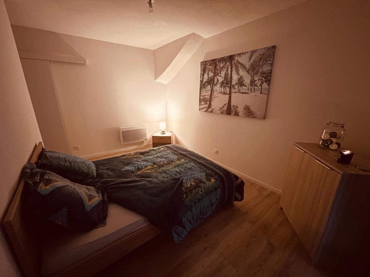 La Cave Aux Lumieres - Proche Centre-Ville - 2 Chambres - Wifi Renaison Dış mekan fotoğraf